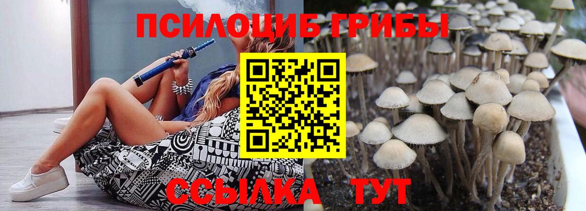 Галлюциногенные грибы GOLDEN TEACHER  Галлюциногенные грибы Psilocybe  Вход с VPN  Саранск 